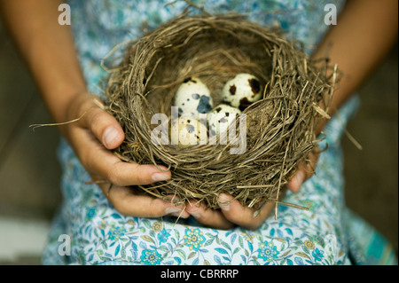 Ragazza con Bird's Nest con screziato uova. Foto Stock