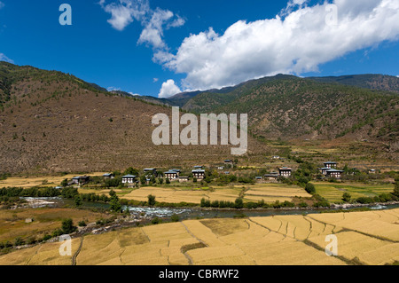 Paesaggio con il risone campi nella valle di Paro, Bhutan Foto Stock