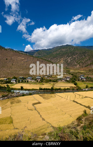 Paesaggio con il risone campi nella valle di Paro, Bhutan Foto Stock