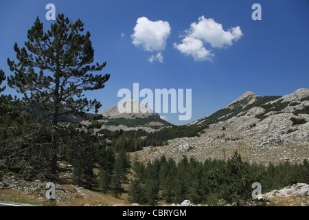 Le montagne di Lovćen National Park, Montenegro Foto Stock