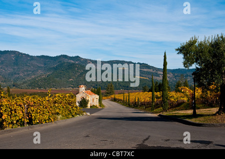 Viale di ingresso al Castello di Amorosa un stile italiano la cantina del castello nella parte settentrionale della Napa Valley, in California Foto Stock