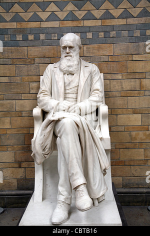 Statua di Charles Darwin il Museo di Storia Naturale Foto Stock