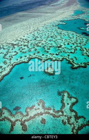 Vedute aeree del bel cuore Reef in la spettacolare grande barriera corallina vicino alle Isole Whitsunday nel Queensland, in Australia.