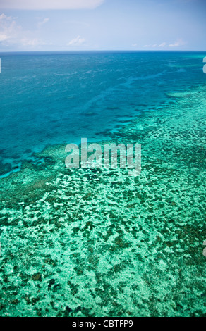 Vedute aeree di la spettacolare grande barriera corallina vicino alle Isole Whitsunday nel Queensland, in Australia. Foto Stock
