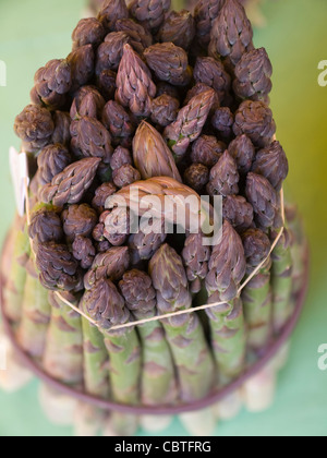 In prossimità delle punte di asparagi Foto Stock