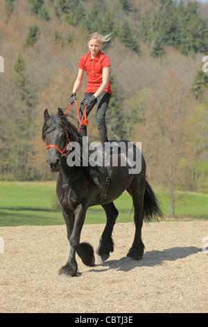 Ragazza in piedi sul retro di una camminata cavallo Frisone Foto Stock