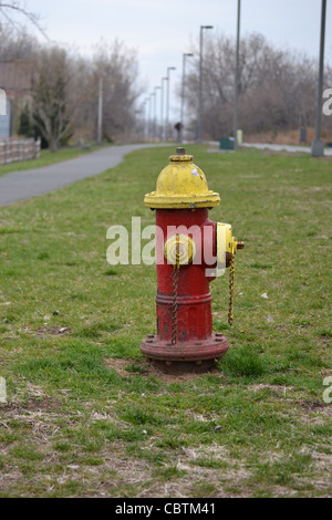 Idrante di fuoco di New York Foto Stock