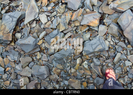 Colori sottili taglienti delle rocce di ardesia che inquinano il terreno, sfondo Foto Stock