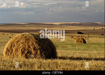 Terreni agricoli con balle di grano in campo con fienile sunrise orientale dello Stato di Washington STATI UNITI D'AMERICA Foto Stock