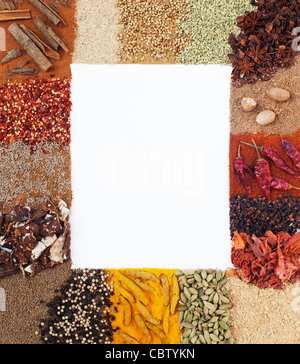 Indian Spice telaio su sfondo bianco Foto Stock