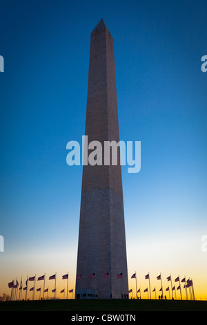 Il Monumento di Washington presso il National Mall di Washington DC, circondato da bandiere nordamericane Foto Stock