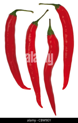 4 peperoncino rosso isolato su sfondo bianco Foto Stock