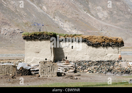 Un piatto tradizionale con tetto in casa del villaggio di Rangdum in Zanskar. Il fieno viene memorizzato sul tetto. Foto Stock