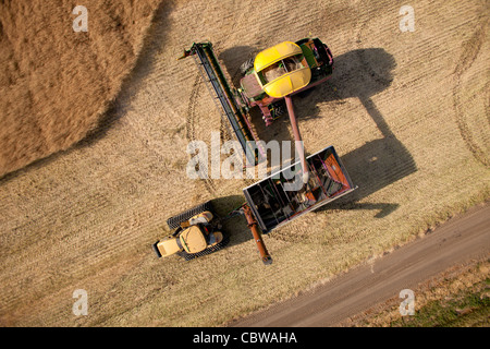 Vista dall'alto in basso di un harvester lo scarico prodotto in un carrello per granella Foto Stock