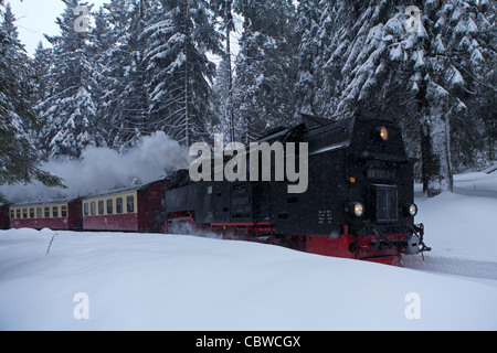 Treno a vapore Brockenbahn viaggiando attraverso il paesaggio innevato vicino Schiercke, Montagne Harz, Sassonia-Anhalt, Germania Foto Stock