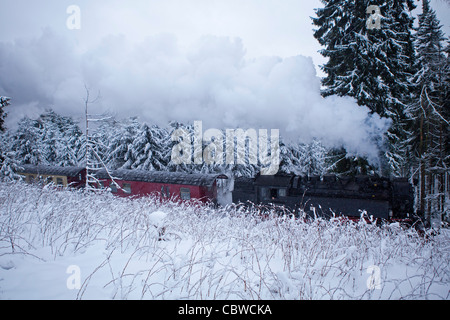 Treno a vapore Brockenbahn viaggiando attraverso il paesaggio innevato vicino Drei Annen-Hohne, Montagne Harz, Sassonia-Anhalt, Germania Foto Stock