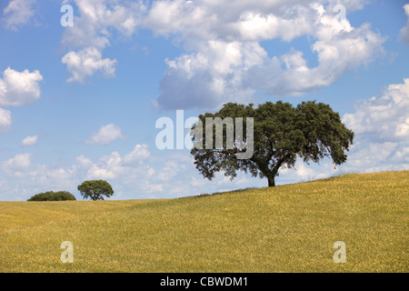 Alentejo fattoria vista, nel sud del Portogallo Foto Stock