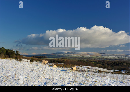 Un inverno freddo giorno di Longridge cadde guardando oltre a Pendle Hill. Foto Stock