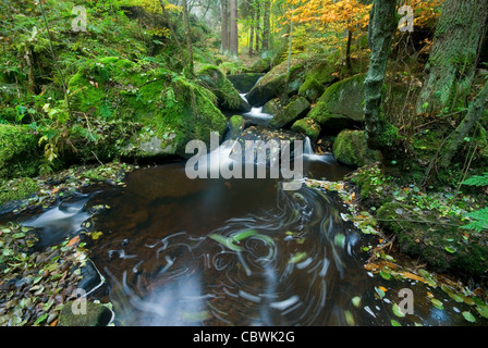 Wyming Brook Riserva Naturale - città di Sheffield Foto Stock