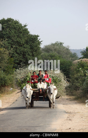 Carrello di giovenco su una strada rurale in Andhra Pradesh in India del Sud Foto Stock