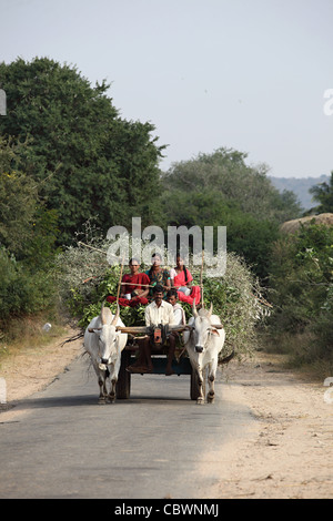 Carrello di giovenco su una strada rurale in Andhra Pradesh in India del Sud Foto Stock