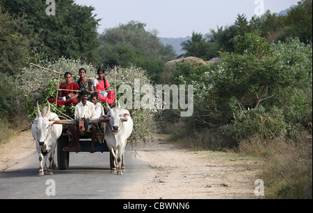 Carrello di giovenco su una strada rurale in Andhra Pradesh in India del Sud Foto Stock