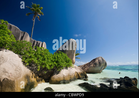 Tropical Beach, La Digue, Seicelle Foto Stock