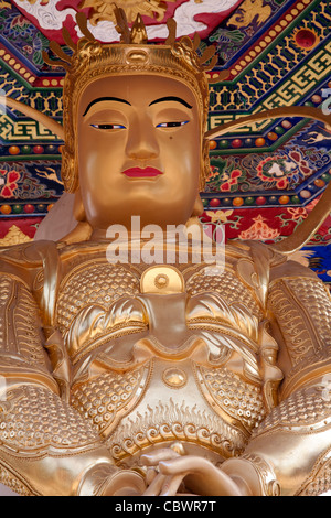 Golden statua del Buddha in filato di Kwun Pavilion il Monastero dei Diecimila Buddha - uomo grasso Tsz - tempio Buddista Sha Tin Hong Kong Foto Stock