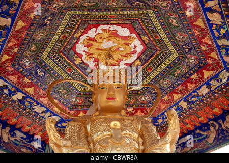 Golden statua del Buddha in filato di Kwun Pavilion il Monastero dei Diecimila Buddha - uomo grasso Tsz - tempio Buddista Sha Tin Hong Kong Foto Stock