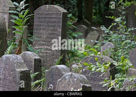 Vecchie lapidi del cimitero, Amburgo, Germania Foto Stock