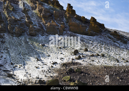 Testa BAILY, isola Deception, a sud LE ISOLE SHETLAND Foto Stock