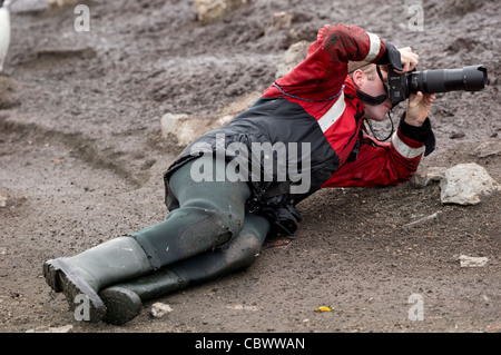 Testa BAILY, isola Deception, a sud LE ISOLE SHETLAND Foto Stock