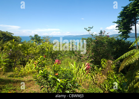 Drake Bay Osa Peninsula Costa Rica Foto Stock