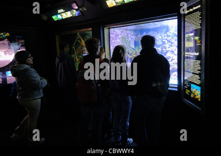 Una famiglia di visitatori a Washington DC il National Aquarium ispezionare una delle mostre. Il National Aquarium si trova nel seminterrato del Dipartimento del commercio edificio, dove è stato ospitato dal 1932. Molto più piccolo e meno noto di sua affiliata facility Baltimora Washington's acquario nazionale è costituito da una serie di serbatoi illustrati vari tipi di ambienti marini, con speciale enfasi sui molti santuari marini in US marine territorio. NB: l'acquario chiuso nel 2013. Foto Stock