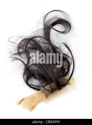 Close-up di un pettine con la perdita dei capelli in essa, su sfondo bianco Foto Stock