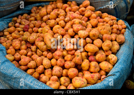 Bolivia. Mercato della frutta a Cochabamba. Patate andina. Foto Stock