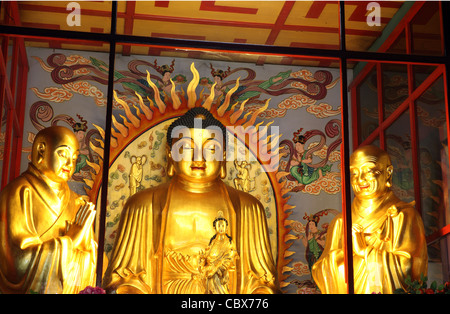 Golden Statue di Buddha all'interno del Tempio di Kek Lok Si, Georgetown. Penang Island, Penang, Malaysia, Asia sudorientale, Asia Foto Stock