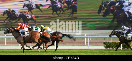 Sha Tin, Hong Kong. Corse di cavalli e scommesse in pista della Hong Kong Jockey Club. Foto Stock