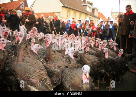 Licques Fete de la Dinde, Turchia festival a Licques vicino a Calais, Pas de Calais, Francia. Tenuto ogni dicembre Foto Stock