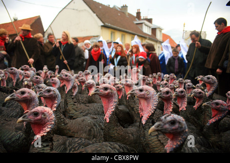 Licques Fete de la Dinde, Turchia festival a Licques vicino a Calais, Pas de Calais, Francia. Tenuto ogni dicembre Foto Stock