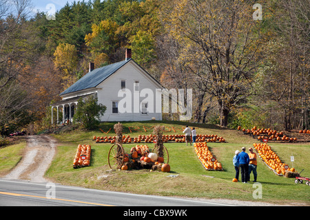 Agriturismo Fattoria di zucca sulla Hwy 100 vicino a Woodstock, Vermont USA/ © Myrleen Pearson Foto Stock