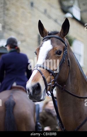 L Heythrop caccia al boxing day si incontrano a Chipping Norton Foto Stock