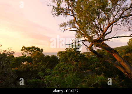 Bustard Bay dalla città di 1770 Queensland Australia // CITTÀ DI 1770, Queensland, Australia - Vista del Bush vicino a Bustard Bay (a sinistra, in lontananza) dalla città di 1770. Fu qui che il capitano James Cook ancorò l'Endeavor, il 24 maggio 1770, per il suo primo sbarco in quello che sarebbe diventato lo stato australiano del Queensland. Il botanico Joseph Banks sbarcò qui e raccolse 33 specie di piante dalla zona. Foto Stock