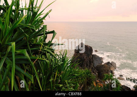 Vista dell'Oceano Pacifico da Bustard Bay 1770 Queensland Australia // Vista dell'Oceano Pacifico da Bustard Bay della città di 1770. Fu qui che il capitano James Cook ancorò l'Endeavor, il 24 maggio 1770, per il suo primo sbarco in quello che sarebbe diventato lo stato australiano del Queensland. Il botanico Joseph Banks sbarcò qui e raccolse 33 specie di piante dalla zona. Foto Stock