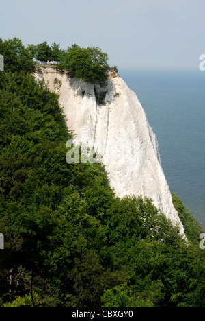 Chalk cliff Koenigsstuhl nel parco nazionale Jasmund sull'isola Ruegen. Foto Stock