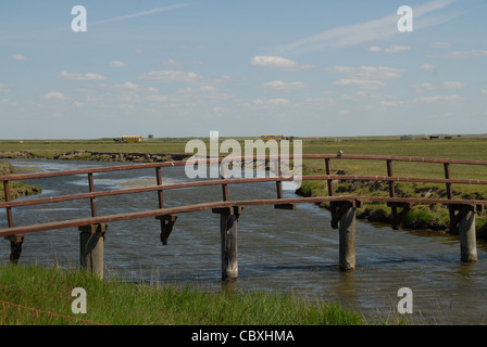 Attraverso la minuscola il Wadden Sea Island Hallig Hooge in Frisia settentrionale mäanders un torrente di marea Foto Stock