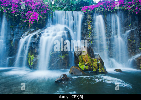 Belle lussureggianti cascate alle Hawaii Foto Stock