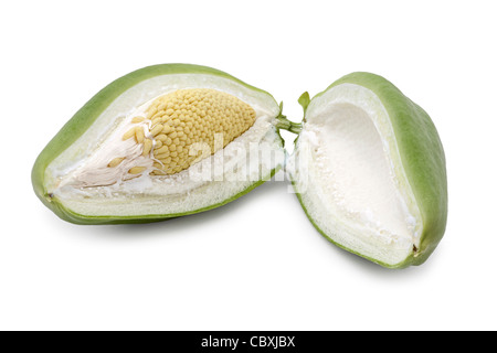 La sezione trasversale di una vescica frutta fiore fotografato in studio su uno sfondo bianco. Araujia sericifera. Foto Stock