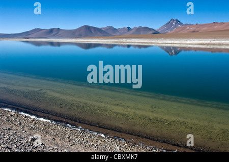 Il Cile. Deserto di Atacama. Quepiaco lago. Foto Stock