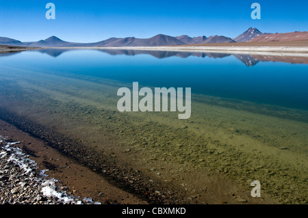 Il Cile. Deserto di Atacama. Quepiaco lago. Foto Stock